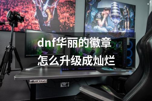 dnf华丽的徽章怎么升级成灿烂-第1张-游戏信息-四季网