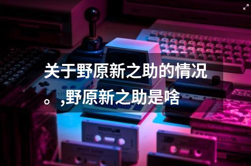 关于野原新之助的情况。,野原新之助是啥-第1张-游戏信息-四季网