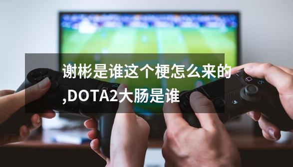 谢彬是谁这个梗怎么来的,DOTA2大肠是谁-第1张-游戏信息-四季网