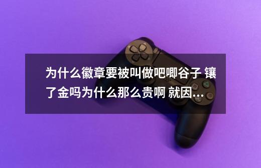 为什么徽章要被叫做吧唧/谷子? 镶了金吗为什么那么贵啊? 就因为授权或者是进口的吗?_侦探徽章是金的吗-第1张-游戏信息-四季网