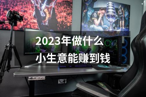 2023年做什么小生意能赚到钱-第1张-游戏信息-四季网