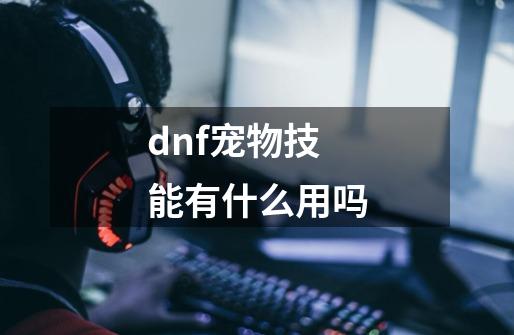 dnf宠物技能有什么用吗-第1张-游戏信息-四季网