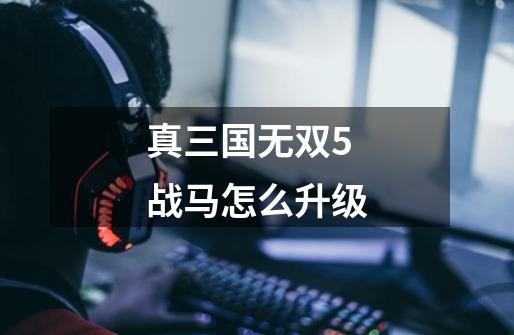 真三国无双5战马怎么升级-第1张-游戏信息-四季网