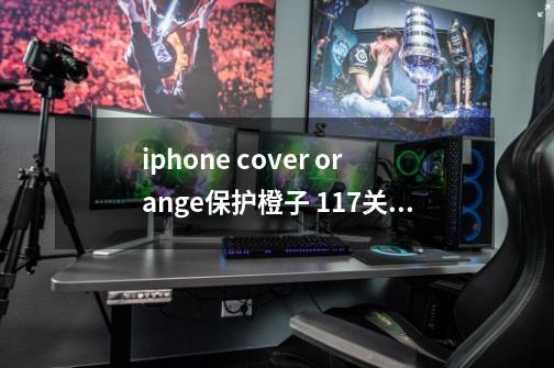 iphone cover orange保护橙子 117关 怎么过-第1张-游戏信息-四季网