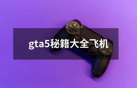 gta5秘籍大全飞机-第1张-游戏信息-四季网