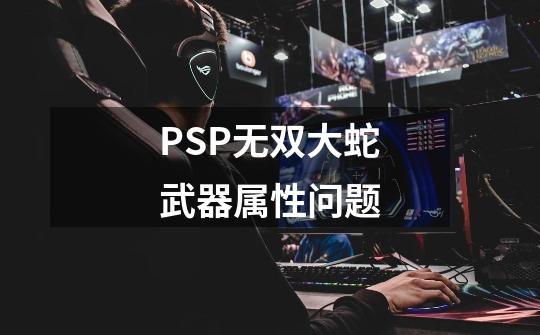 PSP无双大蛇武器属性问题-第1张-游戏信息-四季网