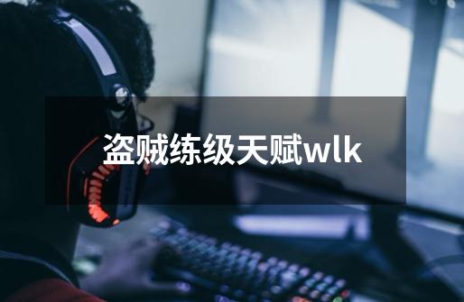 盗贼练级天赋wlk-第1张-游戏信息-四季网