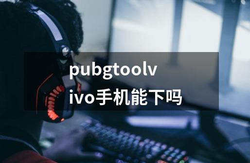 pubgtoolvivo手机能下吗-第1张-游戏信息-四季网