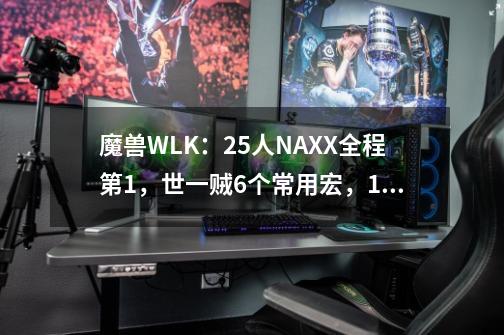 魔兽WLK：25人NAXX全程第1，世一贼6个常用宏，1键切换天赋和武器-第1张-游戏信息-四季网