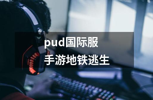 pud国际服手游地铁逃生-第1张-游戏信息-四季网