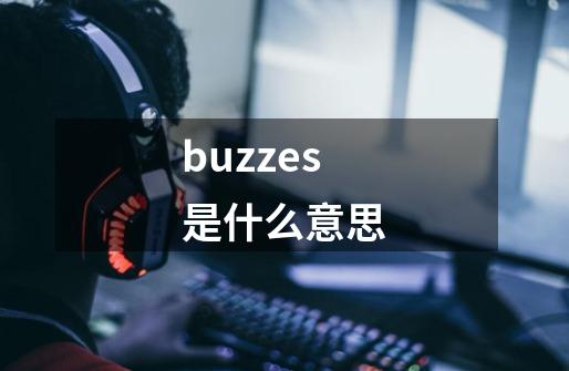 buzzes是什么意思-第1张-游戏信息-四季网