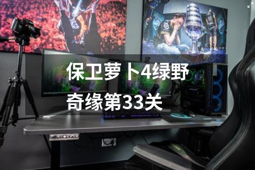 保卫萝卜4绿野奇缘第33关-第1张-游戏信息-四季网