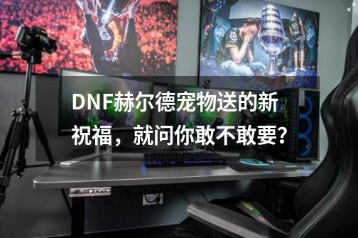 DNF赫尔德宠物送的新祝福，就问你敢不敢要？-第1张-游戏信息-四季网