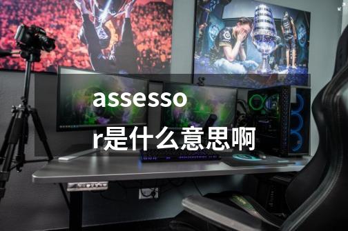 assessor是什么意思啊-第1张-游戏信息-四季网