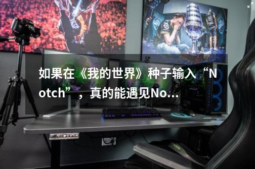 如果在《我的世界》种子输入“Notch”，真的能遇见Notch神庙么？-第1张-游戏信息-四季网