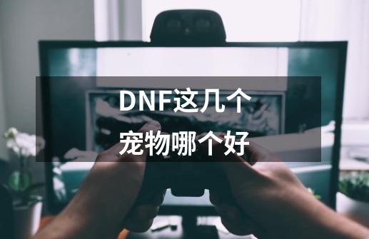 DNF这几个宠物哪个好-第1张-游戏信息-四季网