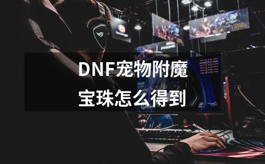 DNF宠物附魔宝珠怎么得到-第1张-游戏信息-四季网