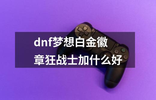 dnf梦想白金徽章狂战士加什么好-第1张-游戏信息-四季网