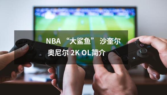 NBA “大鲨鱼” 沙奎尔 奥尼尔 2K OL简介-第1张-游戏信息-四季网