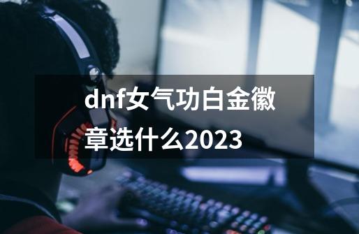 dnf女气功白金徽章选什么2023-第1张-游戏信息-四季网