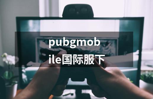 pubgmobile国际服下-第1张-游戏信息-四季网