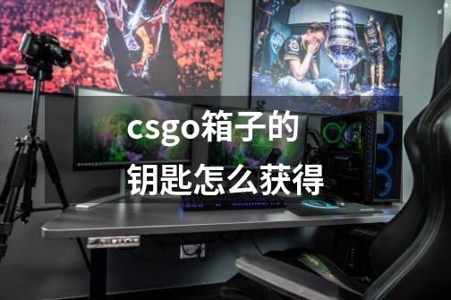 csgo箱子的钥匙怎么获得-第1张-游戏信息-四季网