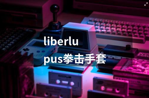 liberlupus拳击手套-第1张-游戏信息-四季网