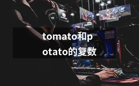 tomato和potato的复数-第1张-游戏信息-四季网